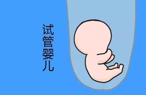 人工孕妈供卵服务怎么预约